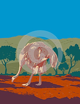 Common Ostrich or Somali Ostrich in the Sahel Region of Africa Art Deco WPA Poster Art