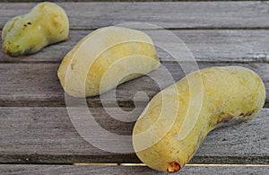 Common pawpaw fruit photo