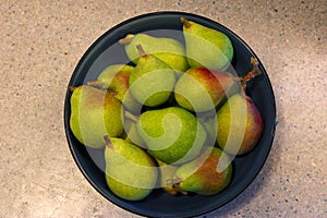 Common Pears Bowl Mandala 01