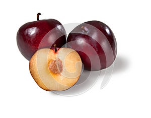 Common plum, susine nere photo