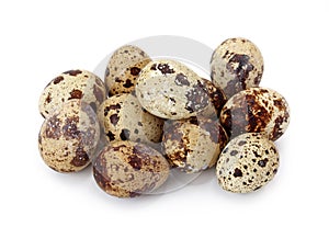 Common Quail eggs