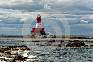 Common Seals and Longstone Lighthouse in the farne Islands - United Kingdom
