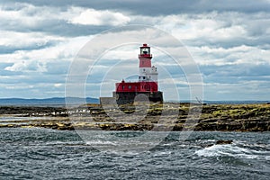 Common Seals and Longstone Lighthouse in the farne Islands - United Kingdom