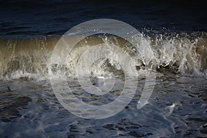 Common seals swimming and basking in the sun in the water and on the beaches around Blakeney, Norfolk, UK