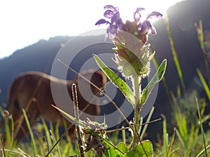 Common self-heal