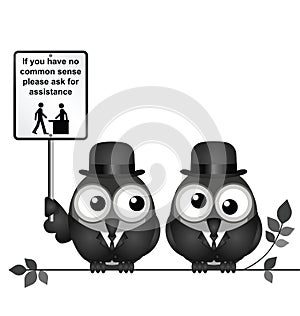 Common Sense photo
