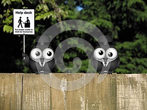 Common Sense photo