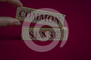 Common sense symbol. Concept words Common sense on beautiful brick blocks. Beautiful red background. Businessman hand. Business,