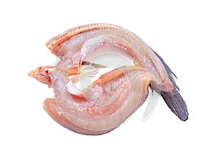 Common snakehead, Chevron snakehead, Striped snakehead(Channa st