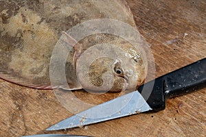 Common sole and knife