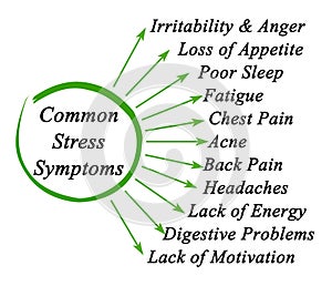 Common Stress Symptoms photo