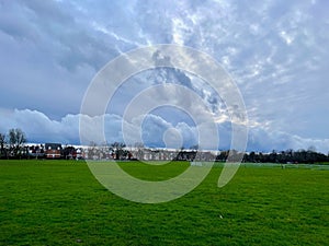 The common in winter and cloudy skies