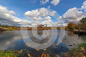 Commonwealth Lake Park in Beaverton Oregon USA