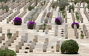 Commonwealth war graves at El Alamein War Cemetery in northern Egypt.