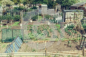 Communal allotments in Suffolk, England retro filter applied