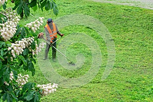 A communal service worker in an orange vest mows grass in a park with a hand gas mower