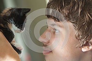 Communicating with a pet, the kitten looks at the owner