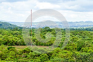 Communication Antenna In Amazon Forest