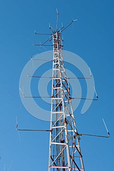 Communication tower in a forest