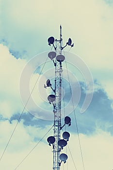 Communication tower, high power wifi antenna post