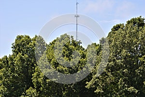 A Communication Tower Poking Above Trees