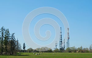 Communication towers in a green meadow with grazing cattle under a blue sky