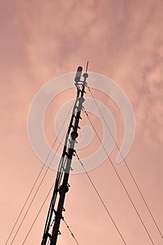 Communications antenna