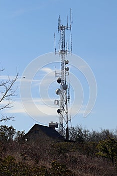 Communications tower and crow