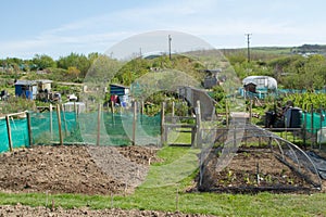 Community allotments for growing vegetables