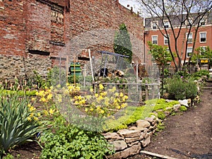 Community garden