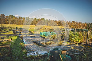 Community garden eco bio garden Edinburgh Community Garden