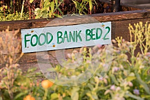 Community Garden Food Bank Bed