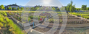 Community garden in the middle of a field with trees at Daybreak, South Jordan, Utah