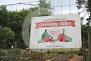The community garden is very popular with the participants. photo