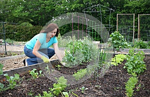 Comunità giardinaggio 