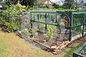 Community gardens