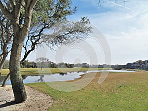 Community lake in a residential area surrounded by homes