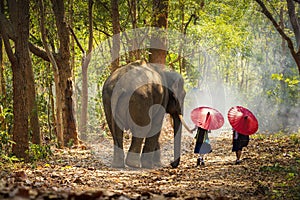 Community life. School children and elephants. Student little asian are raising elephants, Tha Tum District, Surin, Thailand