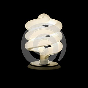 Compact Flourescent Light Bulb