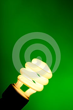 Compact flourescent light bulb on green background