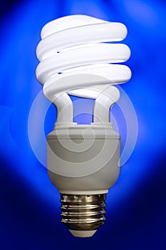 Compact Fluorescent Bulb