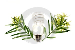 Compact fluorescent bulb