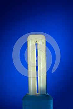 Compact Fluorescent Household Lamp