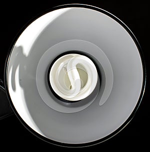 Compact fluorescent lamp in the fixture