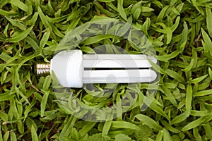 Compact fluorescent lamp over grass background