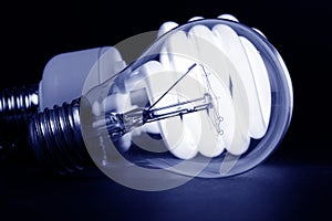 Compact Fluorescent Light bulb