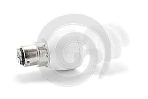 Compact Fluorescent Light Bulb