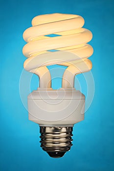 Compact Fluorescent Light Bulb