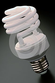 Compact fluorescent light bulb