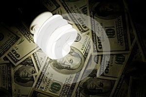 Compact Fluorescent Light bulb and dollar